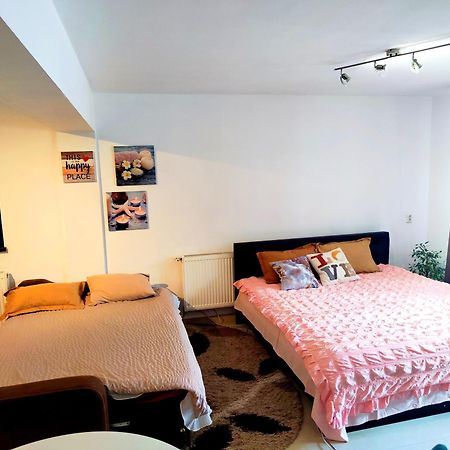 Apartmán Studioul De Vis Brašov Exteriér fotografie