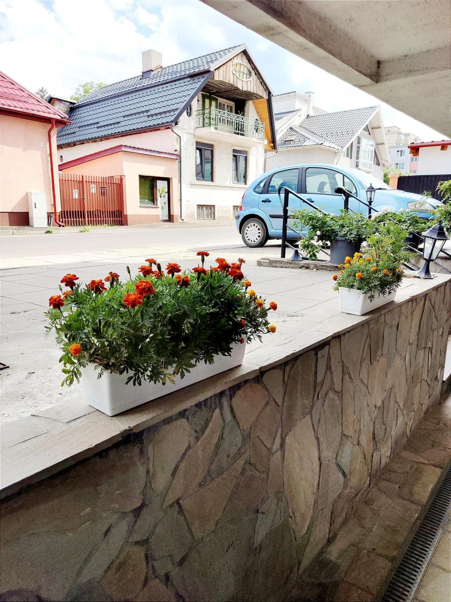 Apartmán Studioul De Vis Brašov Exteriér fotografie