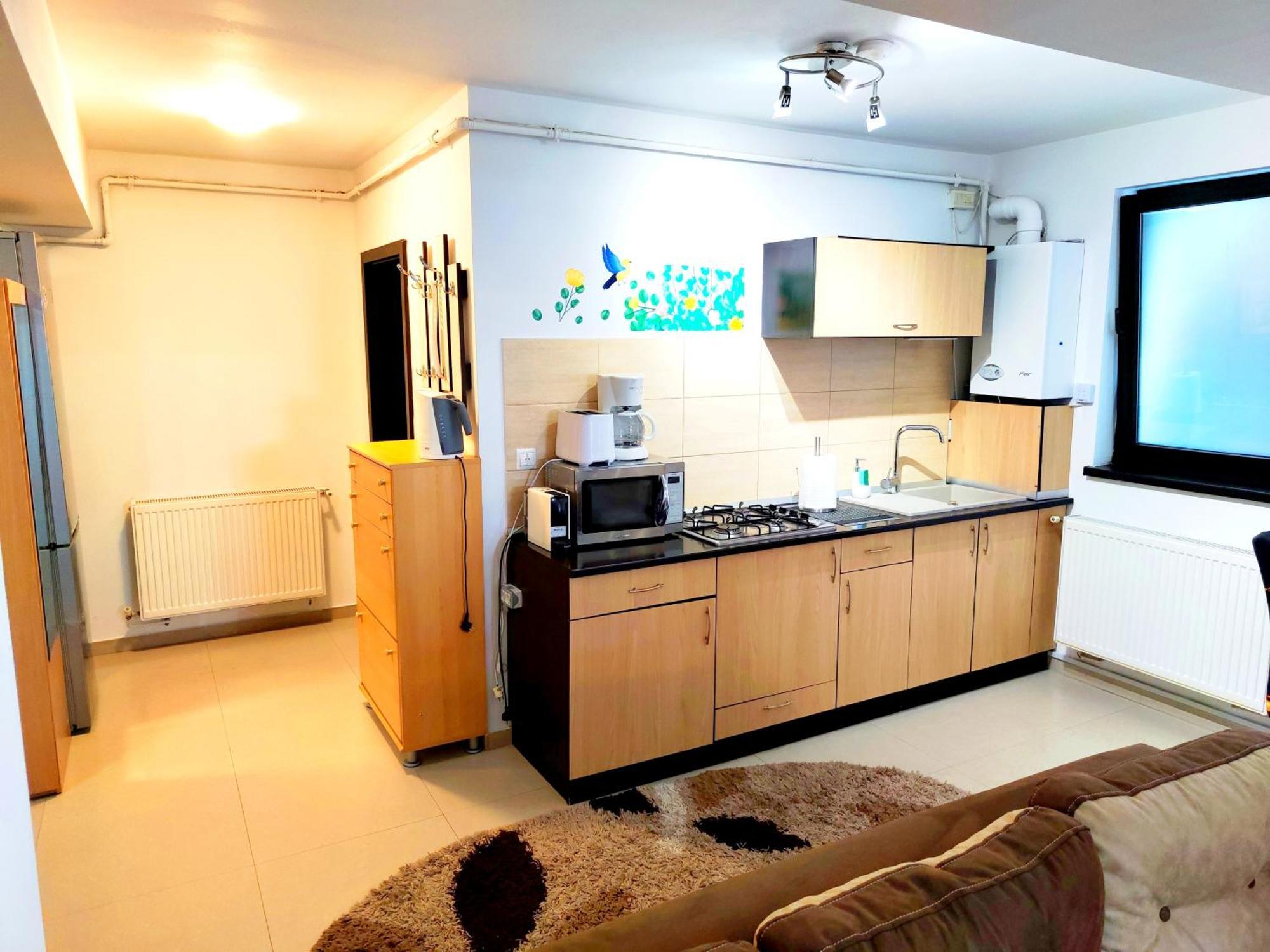 Apartmán Studioul De Vis Brašov Exteriér fotografie