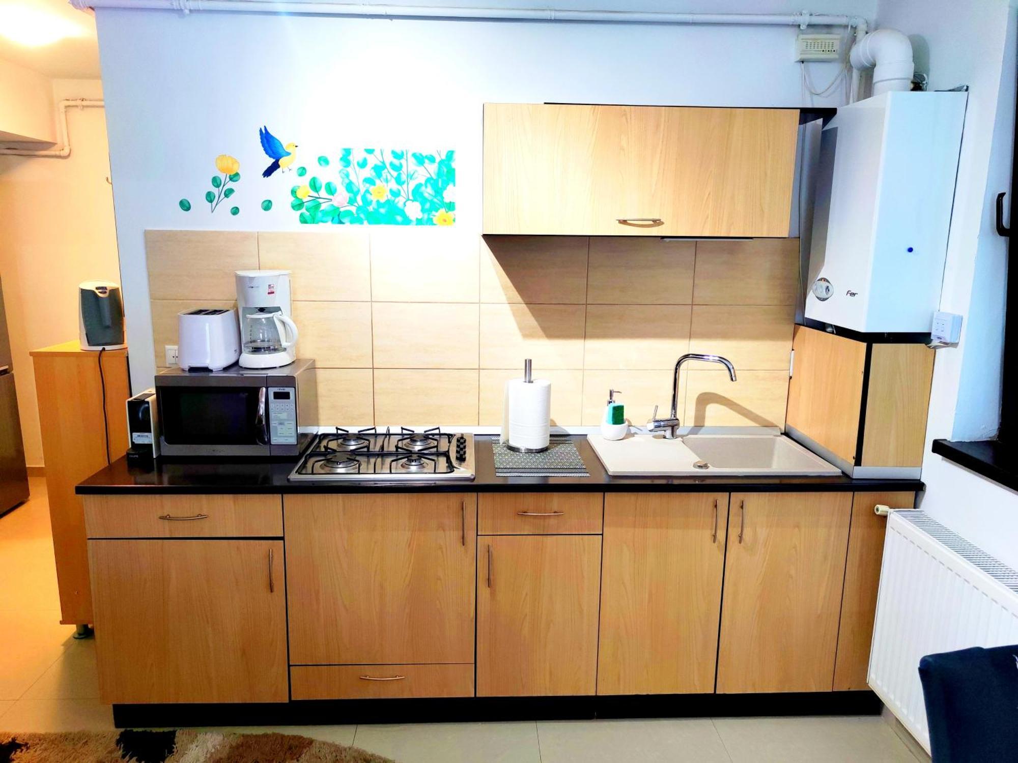 Apartmán Studioul De Vis Brašov Exteriér fotografie