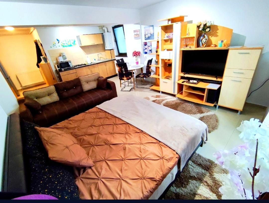 Apartmán Studioul De Vis Brašov Exteriér fotografie